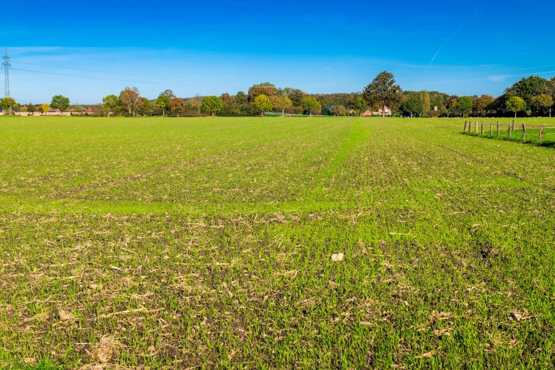 An open parcel of bare land